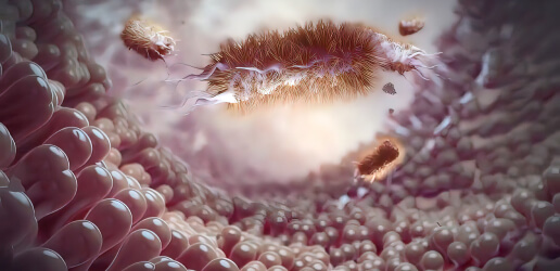 parasites